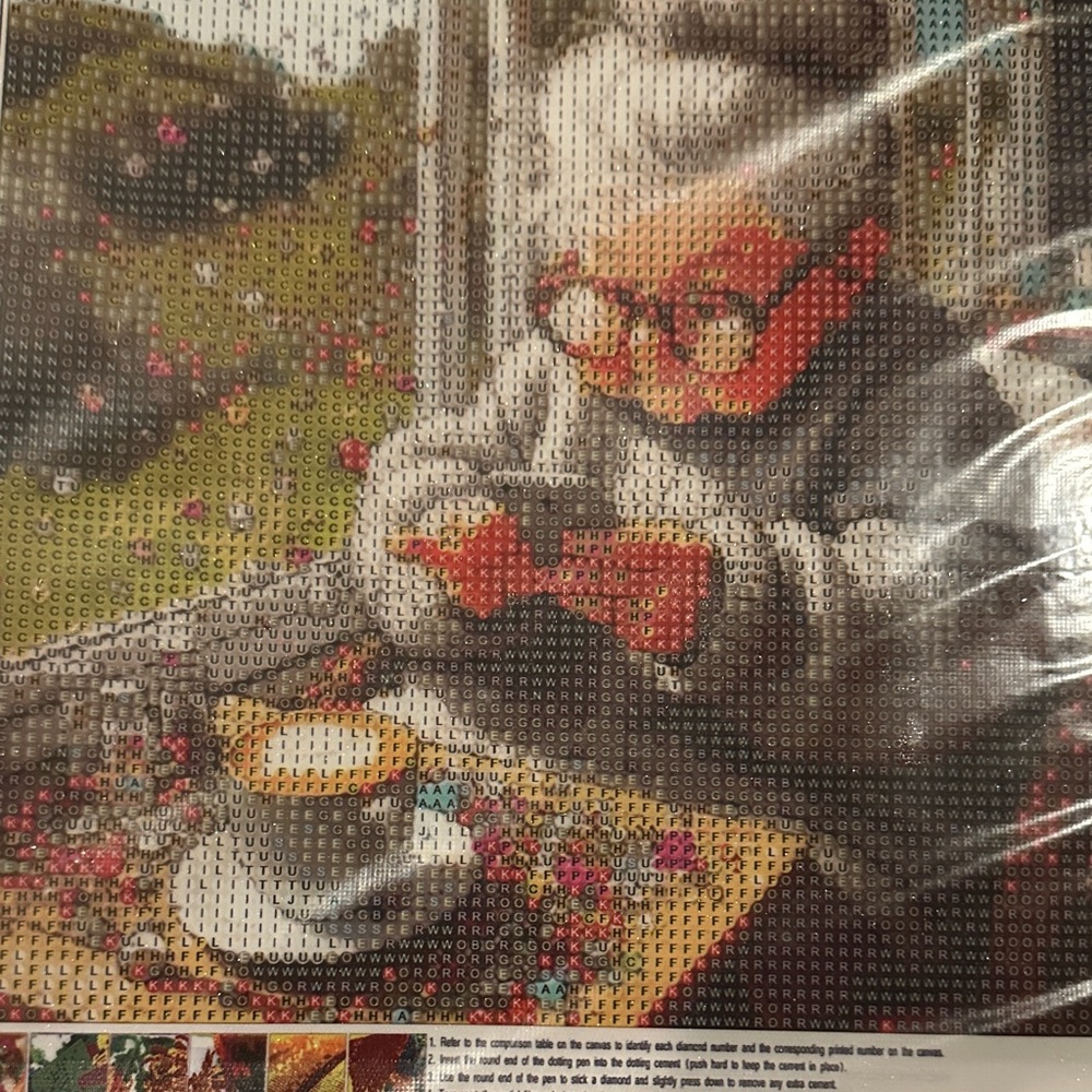Host Support Diamond Art Kit Elderly Lady Trying to Text on Her Phone.